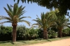 CÃ¡diz
